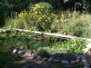 The pond in Sept, '00 
