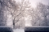 Winter wet snow