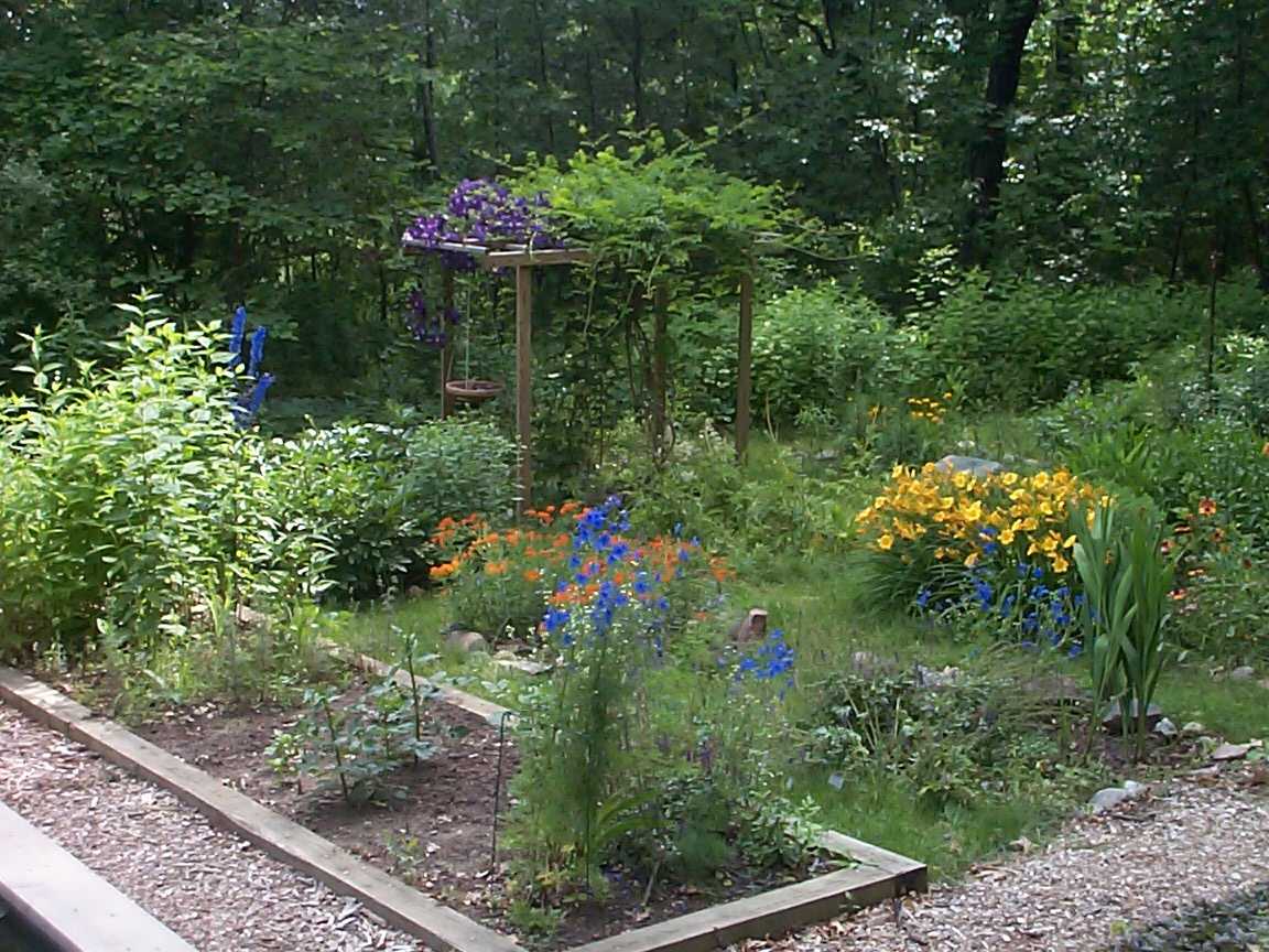 The garden in the summer
