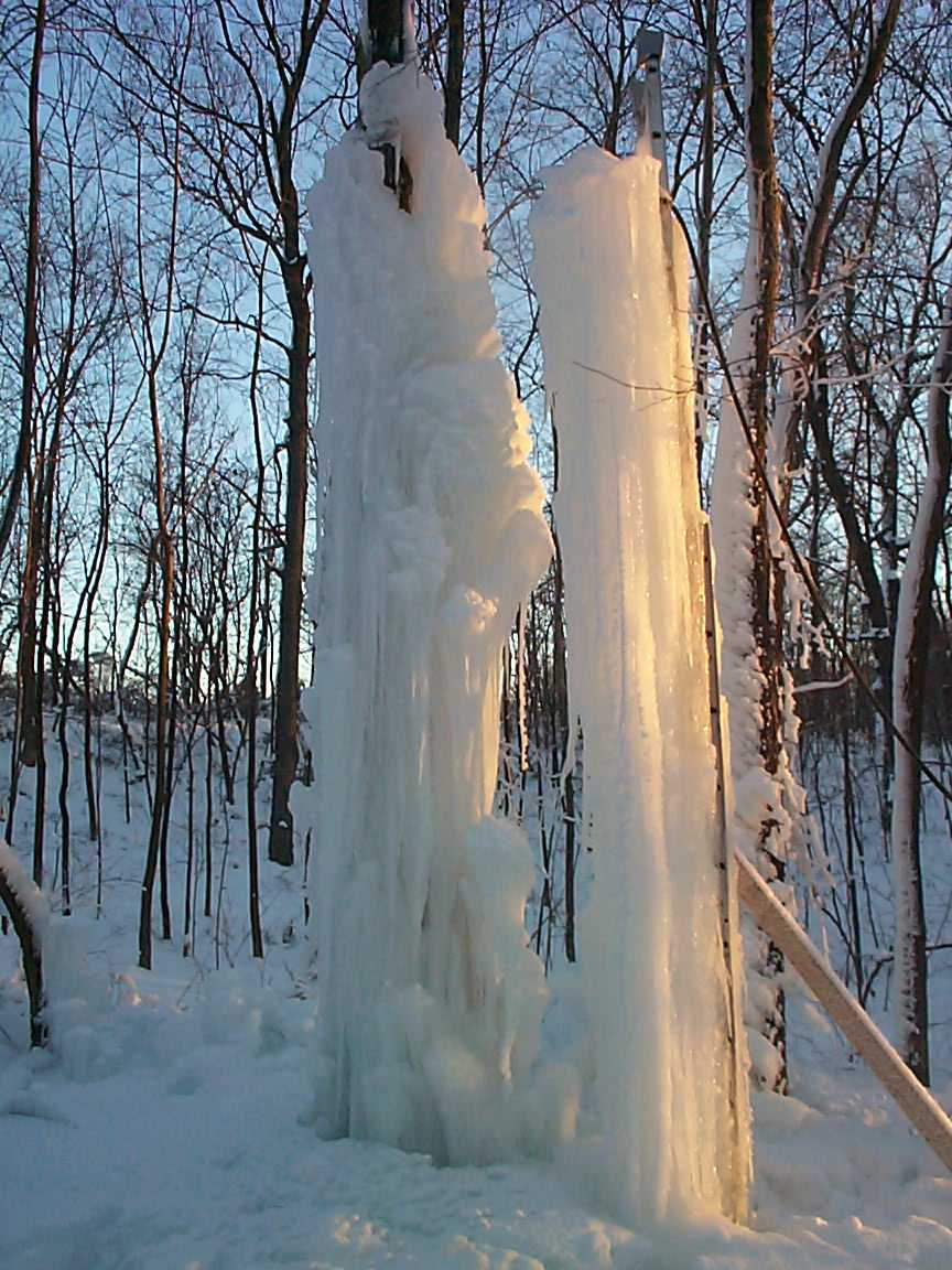 Ice sculpture