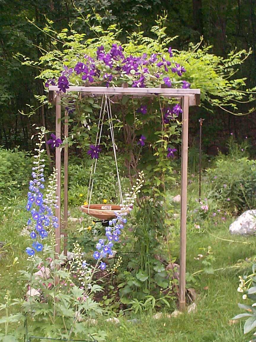 Trellis in the garden