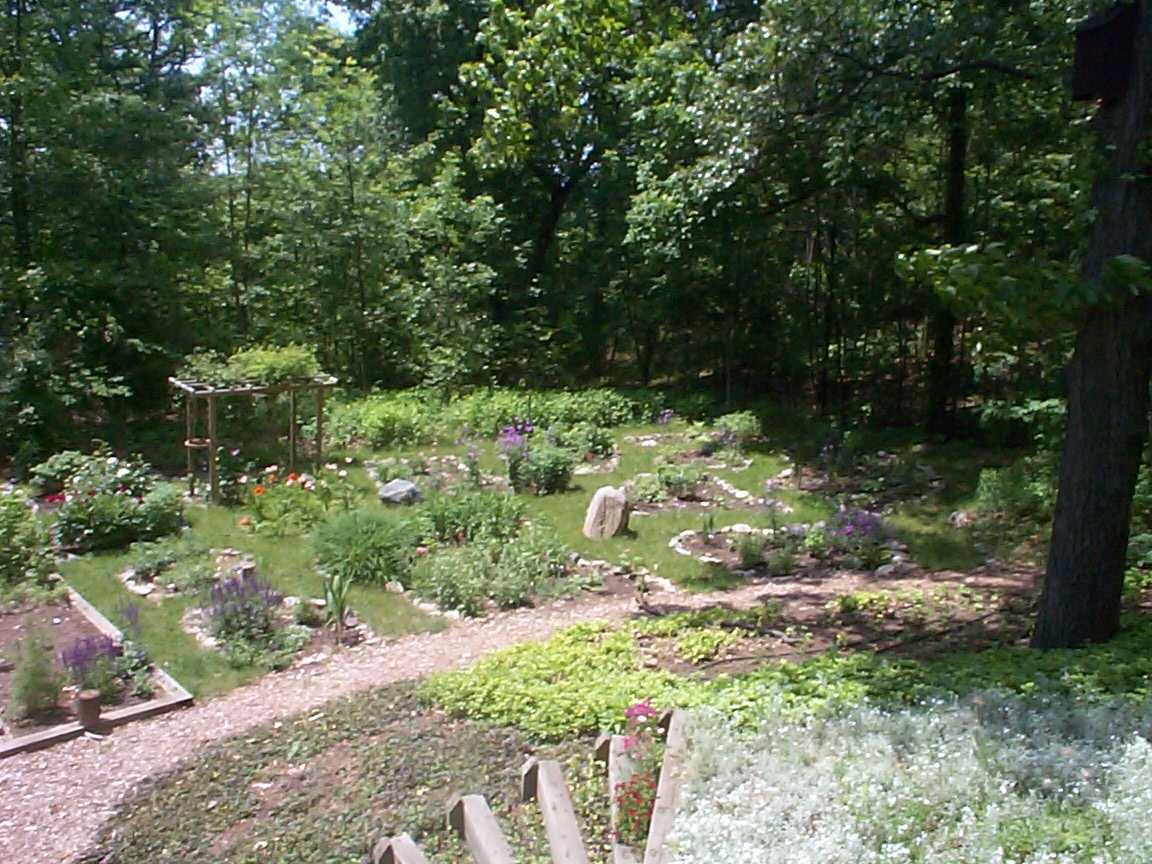 The yard in the spring