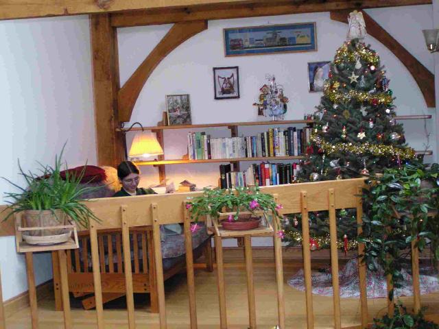 Tree in reading nook